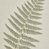 fern art on texture torn paper with beaded frame