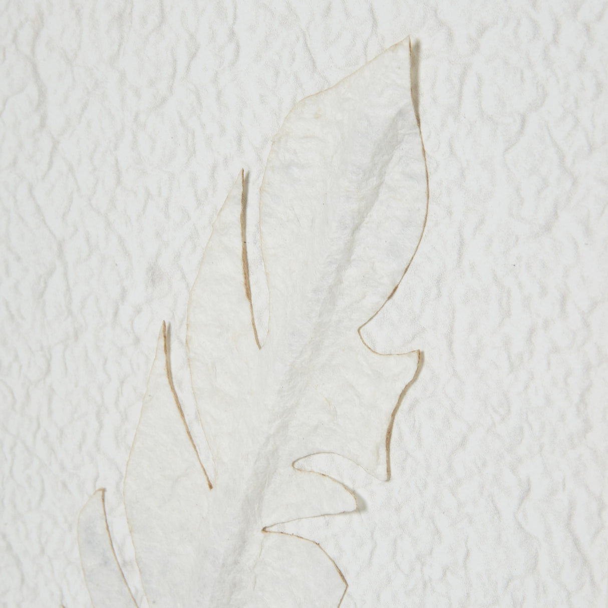 solli white feathers art mounted in beaded frame