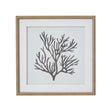 reef coral art mounted in beaded frame