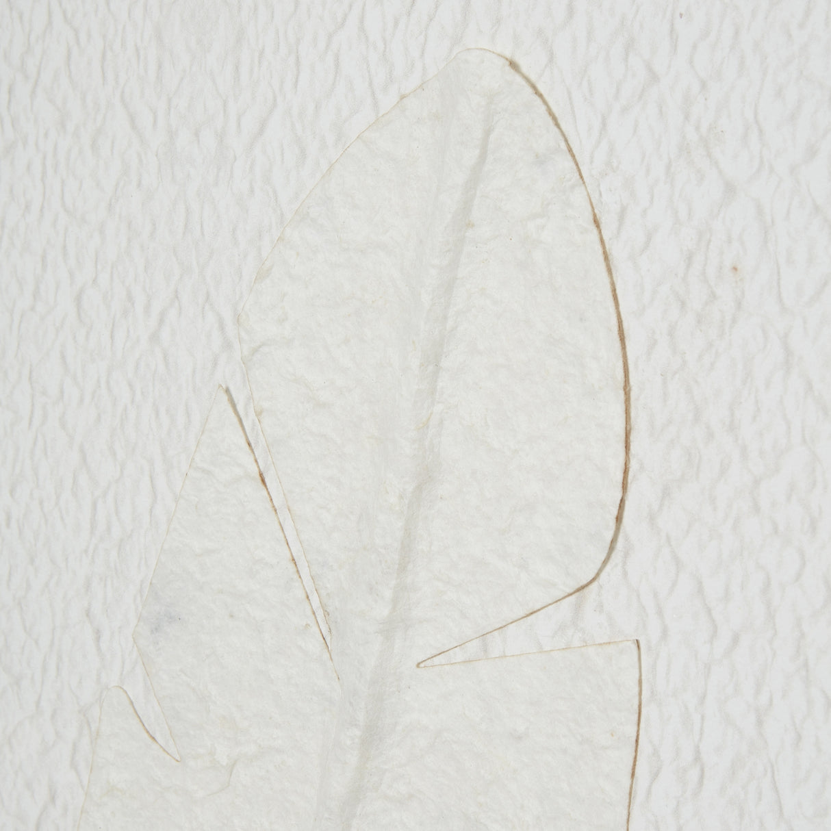 large quill white feather art mounted in beaded frame