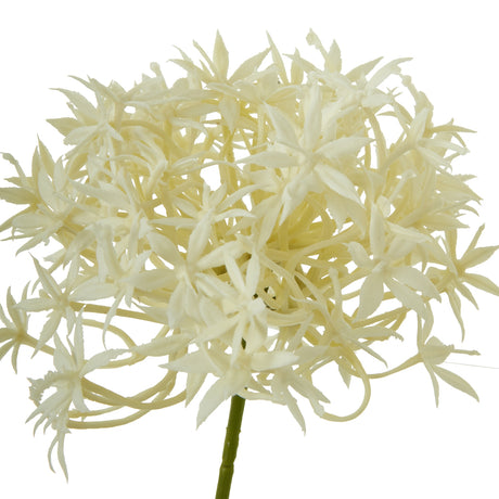 three head cream allium spray