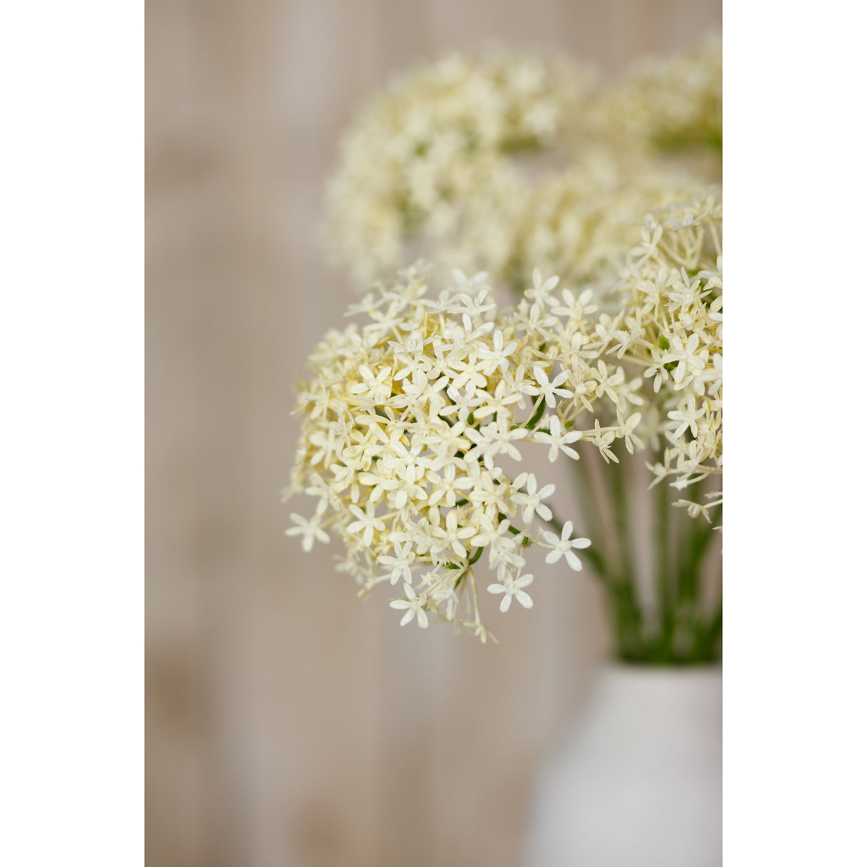 three head cream allium spray