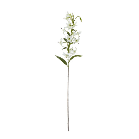 turks cap green lily spray