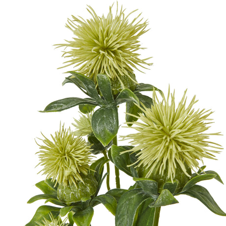 green safflower spray
