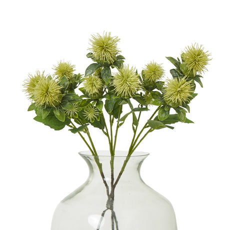 green safflower spray