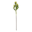 green safflower spray