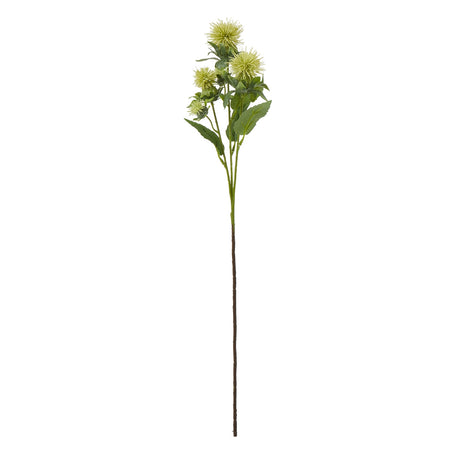 green safflower spray