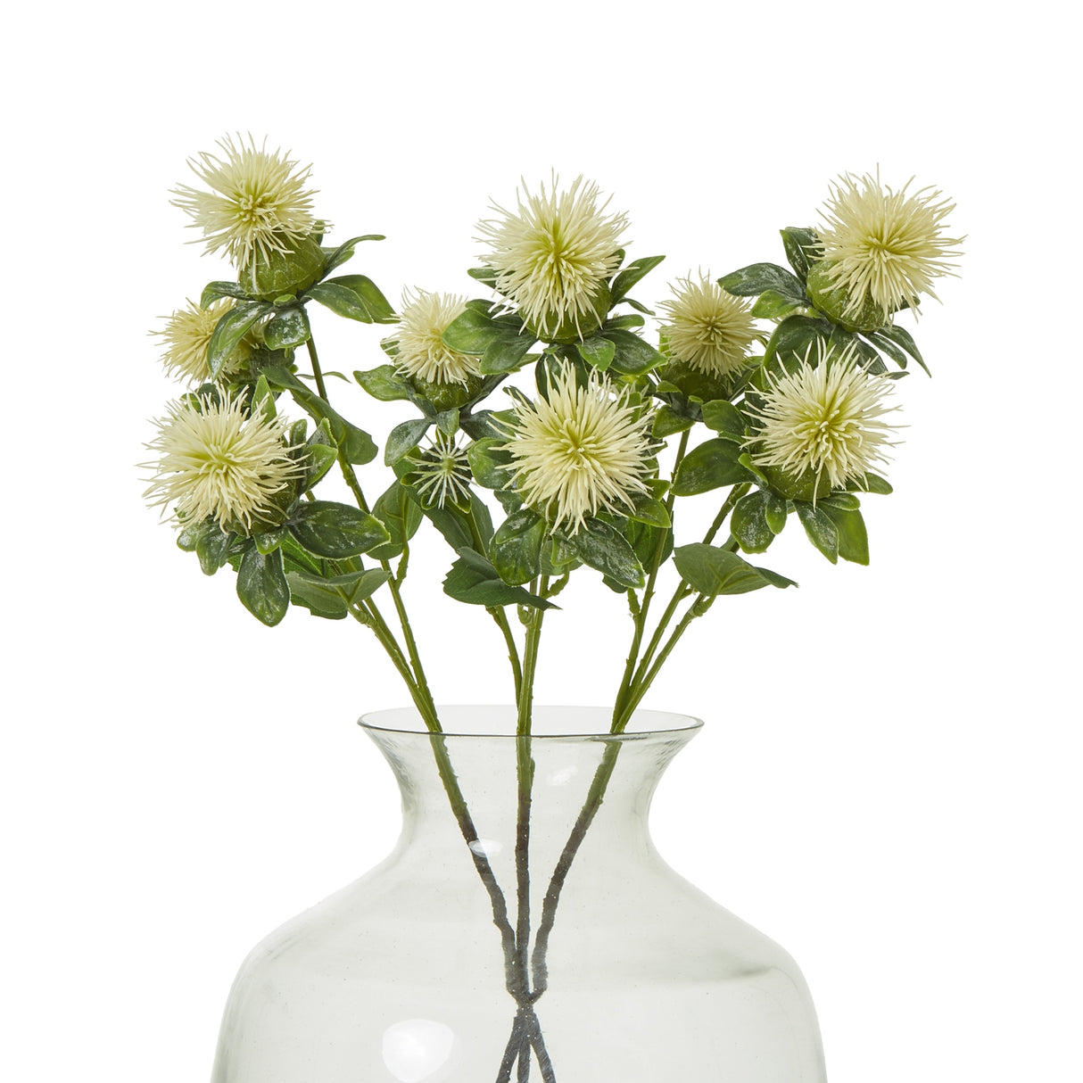cream safflower spray
