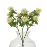 cream safflower spray