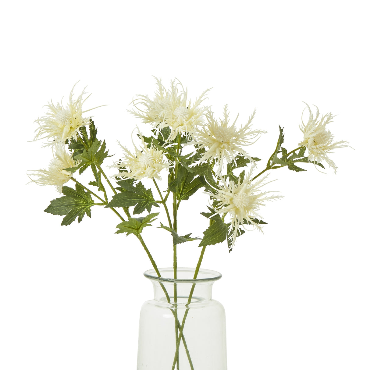 cream sea holly spray