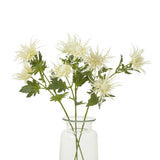 cream sea holly spray