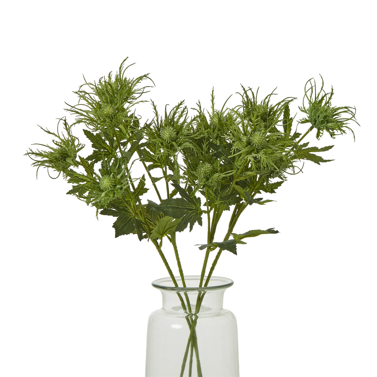 green sea holly spray
