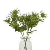 green sea holly spray