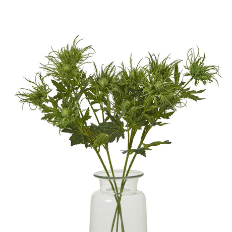 green sea holly spray