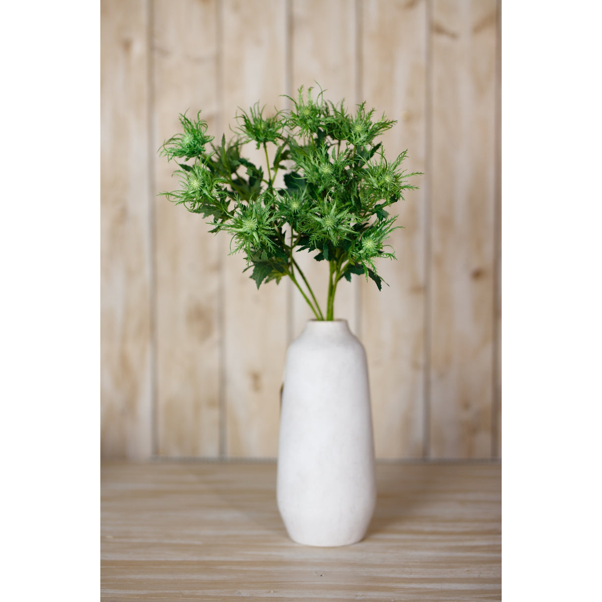 green sea holly spray