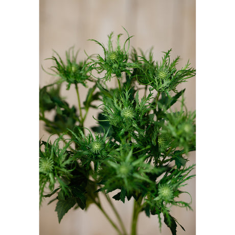 green sea holly spray