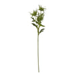 green sea holly spray