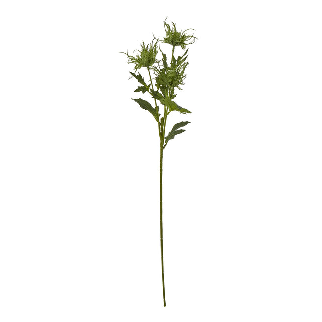 green sea holly spray