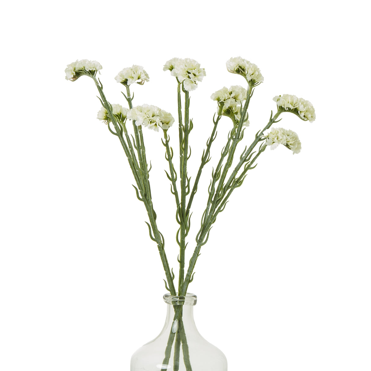 cream statice spray