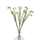 cream statice spray