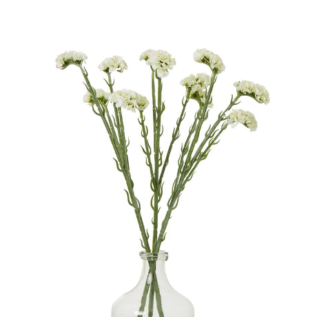 cream statice spray