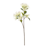 Tess Protea Nitida Spray