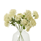 cream sedum spray