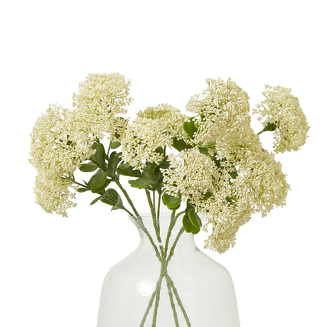 cream sedum spray