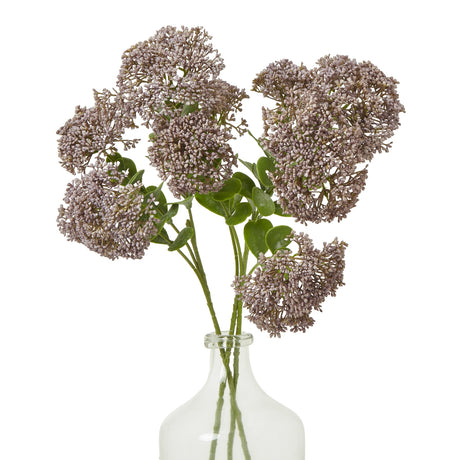 purple sedum spray