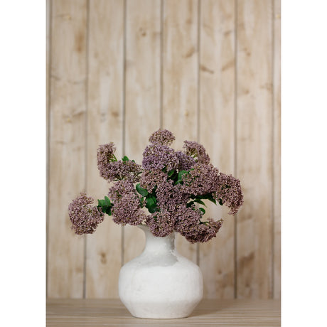 purple sedum spray