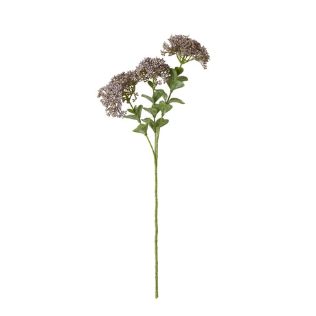 purple sedum spray