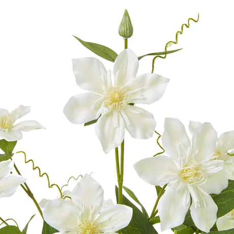 cream pearl clematis spray