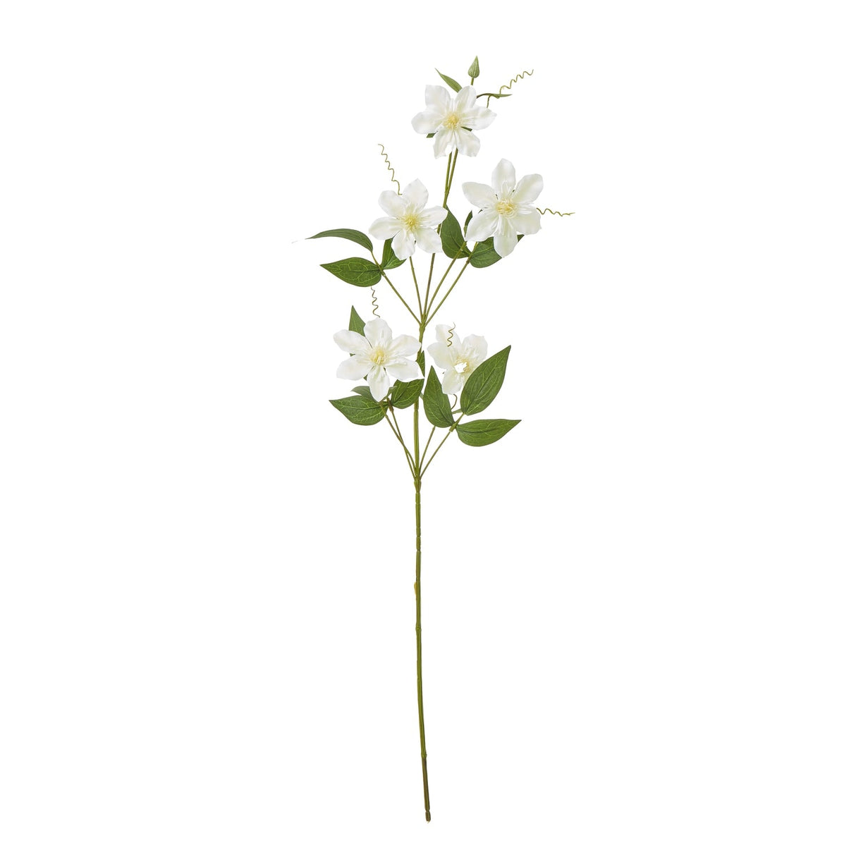 Tess Pearl Clematis Spray