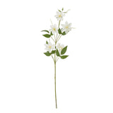 Tess Pearl Clematis Spray