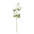 cream pearl clematis spray