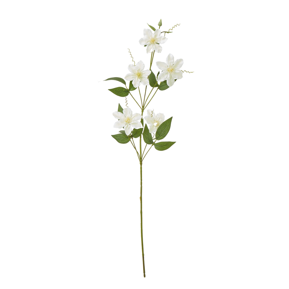 cream pearl clematis spray