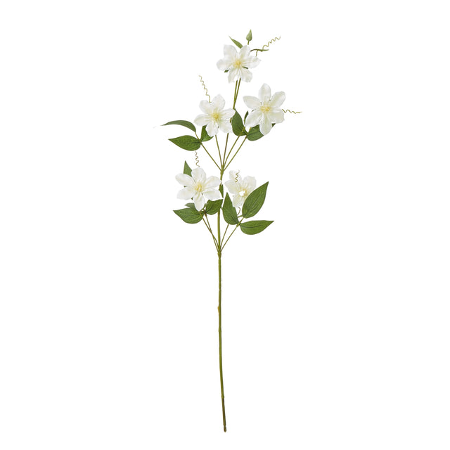 cream pearl clematis spray