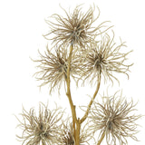 brown xanthium spray