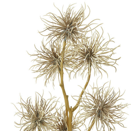 brown xanthium spray