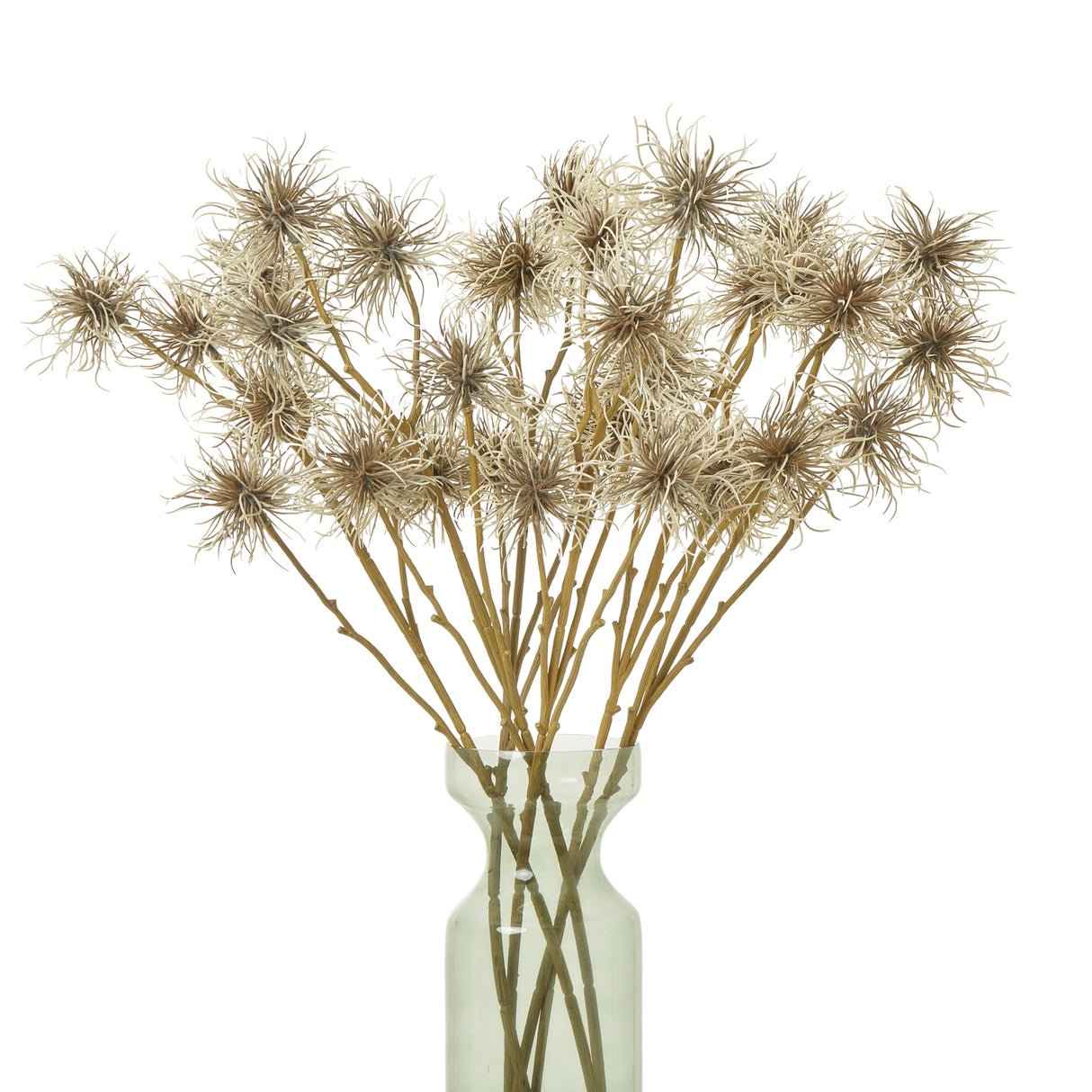 brown xanthium spray