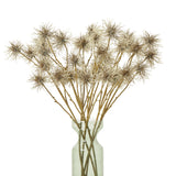 brown xanthium spray