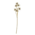 brown xanthium spray