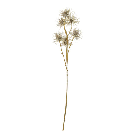 brown xanthium spray