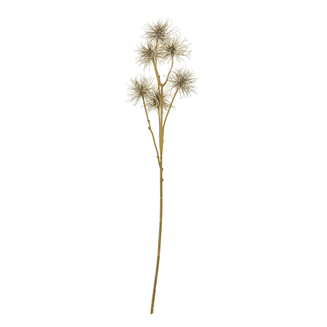 brown xanthium spray