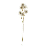 Solene Xanthium Spray