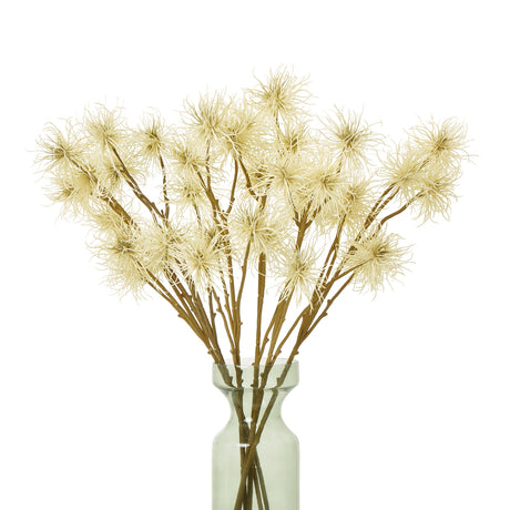 cream xanthium spray