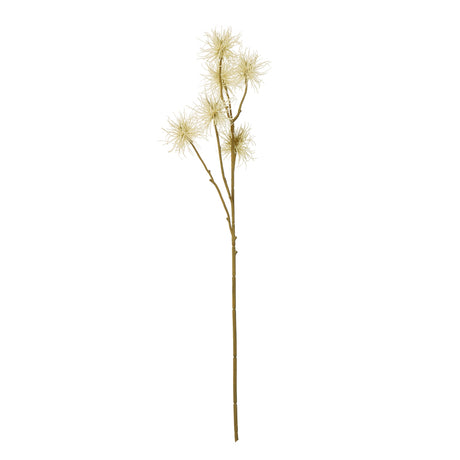 cream xanthium spray