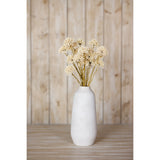 cream allium spray