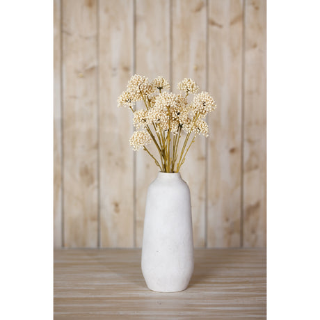 cream allium spray