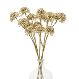brown allium spray